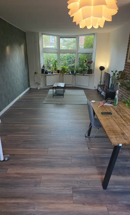 Woonkamer met donkere laminaatvloer